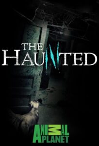 Animal Planet to air The Haunted - Haunted Animals