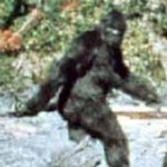 bigfoot, sasquatch, patterson, gimlin, bluff creek