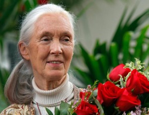 Jane Goodall expresses her belief in Bigfoot Sasquatch Yeti