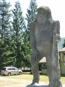  North Fork Survivors Gift Shop Mount St. Helens