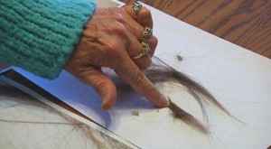 A woman in Oregon believes that she has hair and skin from Bigfoot