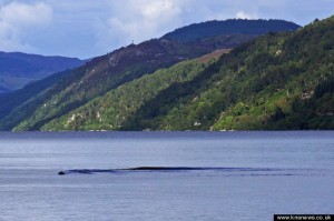 Does this photograph show the Loch Ness monster, or just a rogue wave?