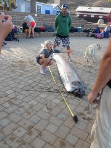 Oarfish found off Catalina Island