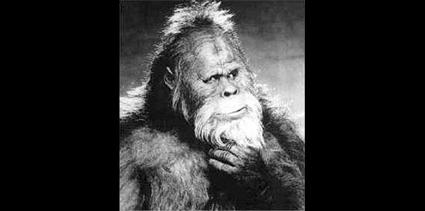 Bigfoot in Common Core exam