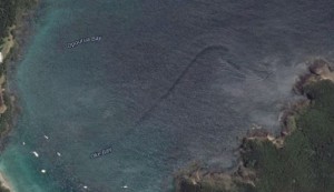 Taniwha, the New Zealand Sea Serpent on Google Earth