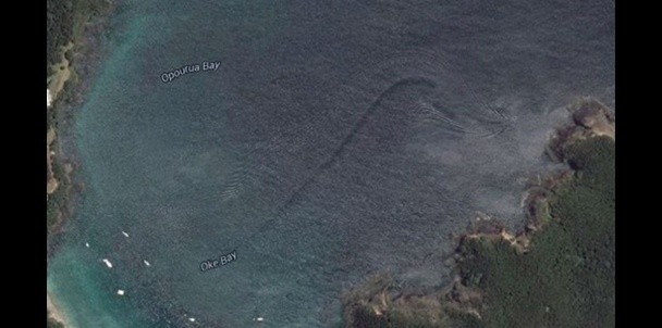 New Zealand Sea Monster