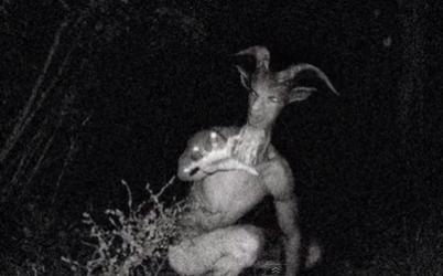 Roquel Bain dies while searching for Goatman