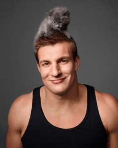 Rob Gronkowski kitten