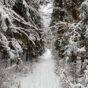 John Pond Trail Adirondacks