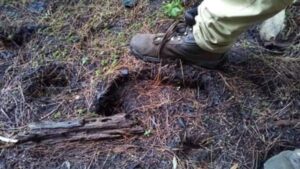 Year in Review - Bigfoot footprint, Adirondacks