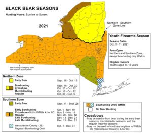 Bear season in NY