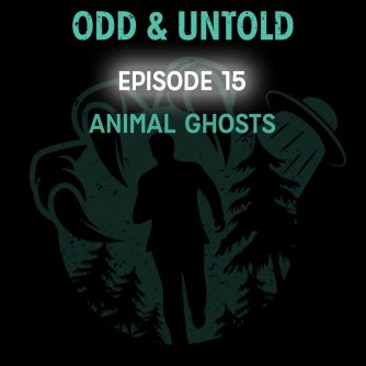 Animal Ghosts